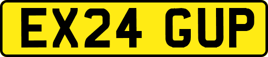 EX24GUP
