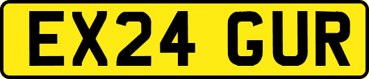 EX24GUR
