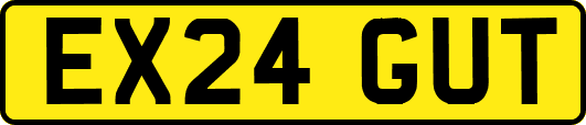 EX24GUT