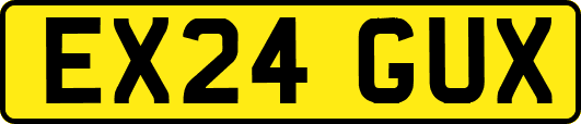 EX24GUX