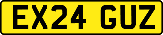 EX24GUZ
