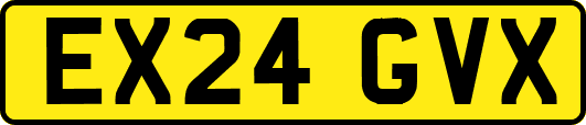 EX24GVX
