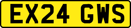 EX24GWS