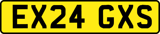 EX24GXS