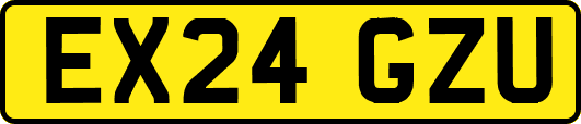 EX24GZU