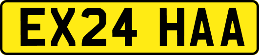 EX24HAA
