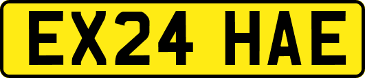 EX24HAE