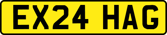 EX24HAG