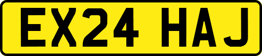 EX24HAJ