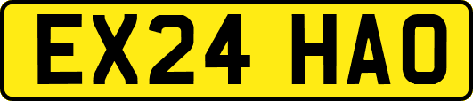EX24HAO