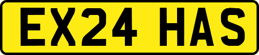 EX24HAS