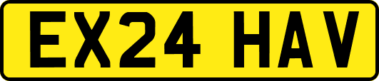 EX24HAV