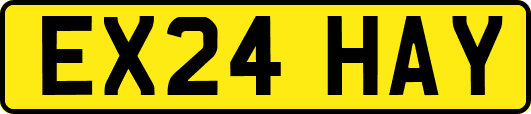 EX24HAY