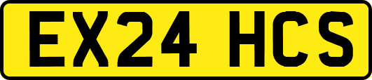 EX24HCS