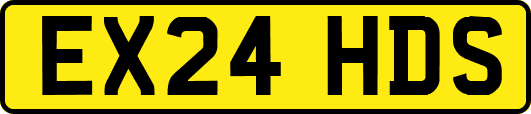 EX24HDS
