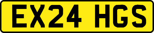 EX24HGS