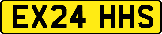 EX24HHS