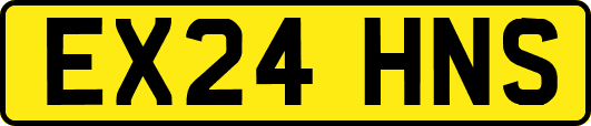 EX24HNS