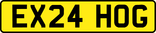 EX24HOG