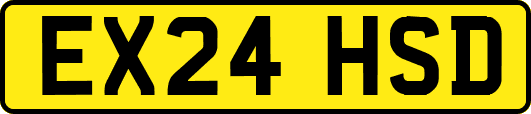 EX24HSD