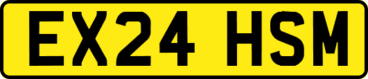 EX24HSM