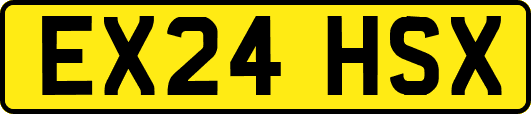EX24HSX