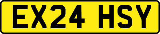 EX24HSY
