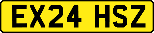 EX24HSZ