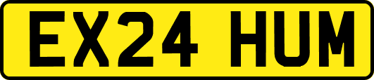 EX24HUM