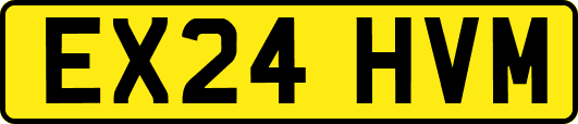 EX24HVM