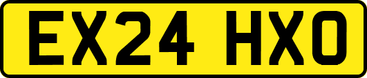 EX24HXO
