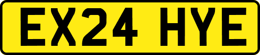 EX24HYE