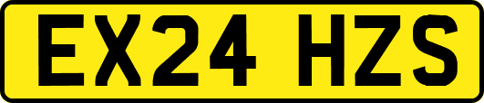 EX24HZS