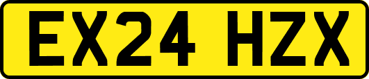 EX24HZX