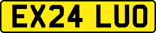 EX24LUO