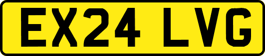 EX24LVG