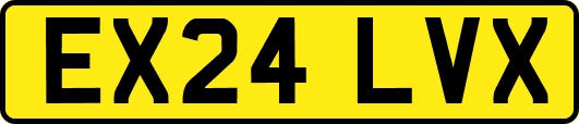 EX24LVX
