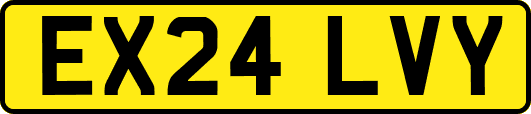EX24LVY