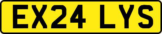 EX24LYS