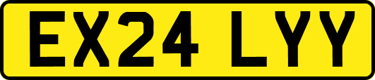 EX24LYY