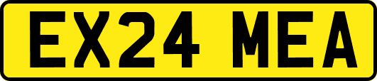 EX24MEA