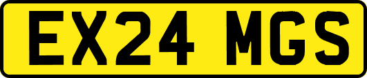 EX24MGS