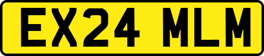 EX24MLM