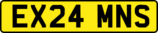 EX24MNS