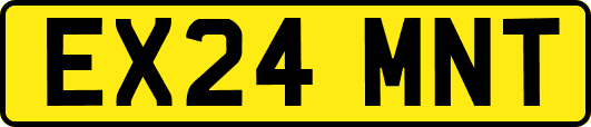 EX24MNT