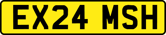 EX24MSH