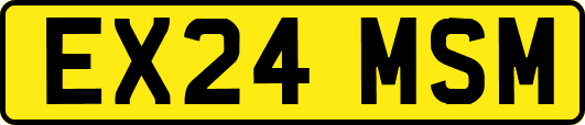EX24MSM