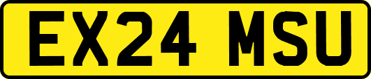 EX24MSU