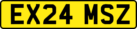 EX24MSZ