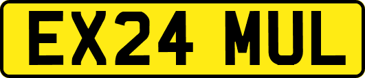 EX24MUL